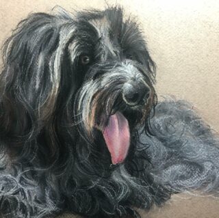 Deze prachtige hond mogen tekenen en dan zulke lieve reacties ontvangen. Daar word je toch stil van🥰🙏🏼

“Lieve, lieve Mariëlle, wat heb je DJ ontzettend mooi getroffen😍🥰. Echt, ik was in tranen.... zo echt is hij. Heel..., heel erg dank je wel! Hij krijgt een heel mooi plekje in de kamer.” 

“Ze was zo ontzettend blij en ontroerd, ik had geen mooier kado kunnen geven 😘”
 
www.marielleveldwijk.nl

#portretkunst #epe #portret #muurschildering #painting #tekenen #tekening #schildering #pastelkrijt #hond #cadeau